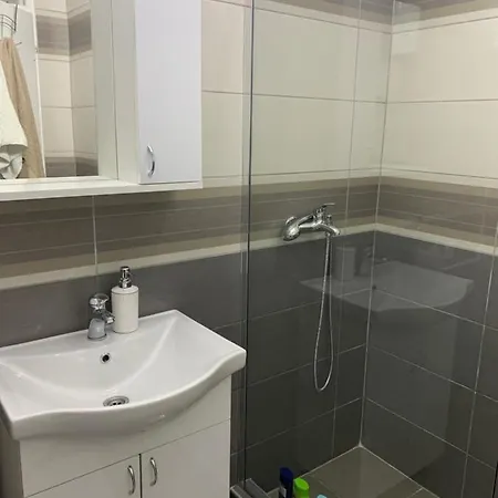 Apartment Djuric *