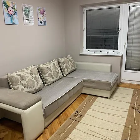 Apartment Djuric *