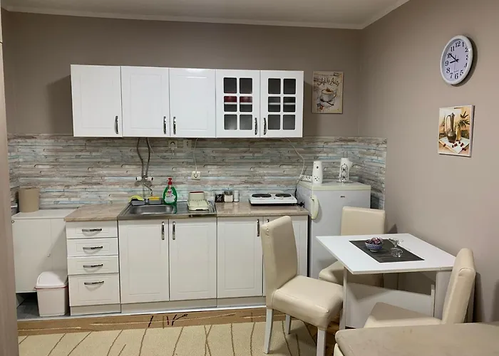 Djuric Διαμέρισμα *